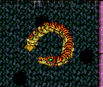 Botwoon - Super Metroid