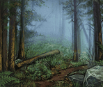 Biome Scenes - Day R Survival