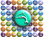 Course Icon & Logos - Wave Race: Blue Storm