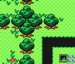 Field Zone - Bomberman Quest
