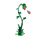 Corpseweed & Une - Castlevania: Dawn of Sorrow