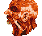 Evil Force - Castlevania: Order of Ecclesia