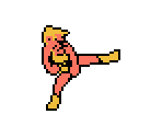 Player - Bad Street Brawler (USA)