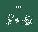 Text - Super Mario World 2: Yoshi's Island