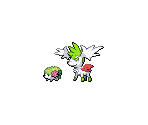 #492 Shaymin - Pokémon Customs