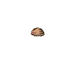 #220 Swinub - Pokémon Generation 2 Customs