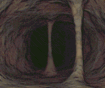 Talk Backgrounds - Fallout 2