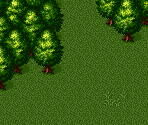 Hunting Grounds - Breath of Fire 2
