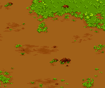 Backgrounds (Set 1) - Pokémon Ranger 2: Shadows of Almia