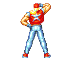 Terry Bogard - Fatal Fury Special