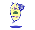 Jyushimatsu (Water Fleas) - Osomatsu-san Hesokuri Wars: Battle of the NEETs