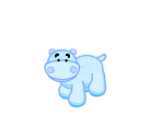 Hippopotamus - Webkinz