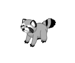Raccoon - Webkinz