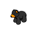 Black Bear - Webkinz