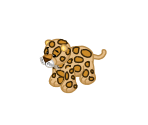 Spotted Leopard - Webkinz