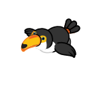 Toucan - Webkinz