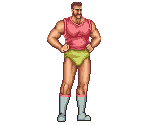 Vest - Knuckle Bash