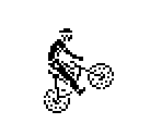 Rider - Mountain Bike Racer (Positive)