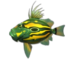 John Dory - Feeding Frenzy