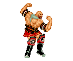 Sarkov - Super Fighter