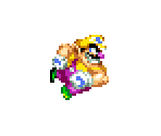 Wario - Wario Customs