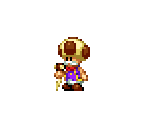 Toadsworth - Mario Customs