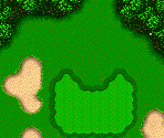 Hole #10 - Power Golf