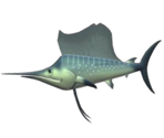 Marlin - Feeding Frenzy