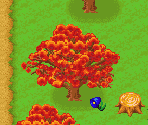Forest (Autumn) - Harvest Moon: More Friends of Mineral Town