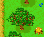 Forest (Summer) - Harvest Moon: More Friends of Mineral Town