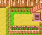 South Side of Mineral Town (Summer) - Harvest Moon: More Friends of Mineral Town