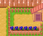 South Side of Mineral Town (Autumn) - Harvest Moon: More Friends of Mineral Town