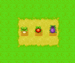 Crops - Harvest Moon: More Friends of Mineral Town