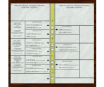 Voting Minigame - Postal 2