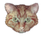 Retail Weapon / Inventory Icons - Postal 2