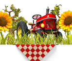 Menus - Youda Farmer 3: Seasons