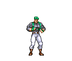 Snake - The Ninja Saviors: Return of the Warriors / The Ninja Warriors Once Again