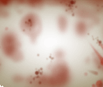 Screen Overlay - Dead Maze