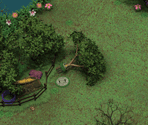 Unwavering Forest - Digimon World: Digital Card Battle