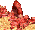 Ragnarok - Battletoads (Prototype)