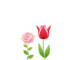 Flowers & Levels - Meow Playground