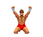 Joe Higashi - Capcom vs. SNK 2