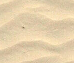 Sand Whole - Meow Playground