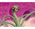 Supox - Star Control II
