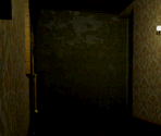 Back Passage - Resident Evil