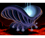 Mycon - Star Control II