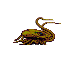 Octopus - Chakan: The Forever Man