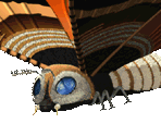 Mothra - Godzilla: Trading Battle (JPN)