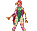 Bonus Art - Super Street Fighter II: The New Challengers
