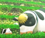 Title Screen - Harvest Moon: A New Beginning